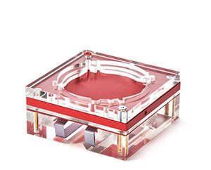 英國(guó)Leeds利茲 TOR DEN Digital數(shù)字牙科機(jī)性能模體