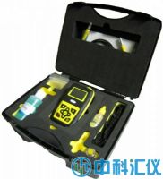 英國里泰 TMG II 透涂層測厚儀