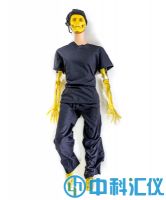 美國RSD Take-Apart Pixy模體