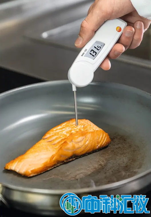 德國(guó)德圖testo 103折疊式溫度計(jì).png